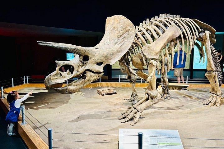Drumheller Badlands Ultimate Day Tour - All-Inclusive Shared Tour