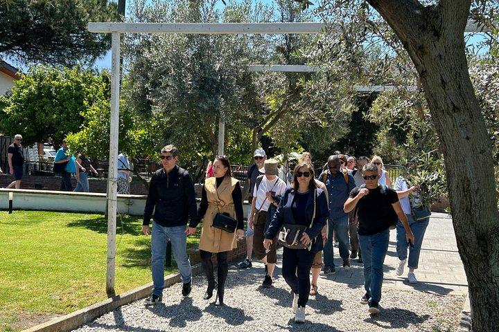 Pompeii & Vesuvius Experience with Easy Lunch from Sorrento