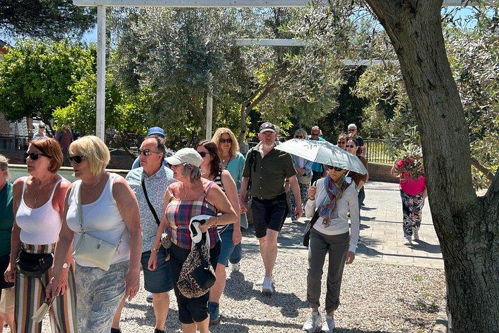 Pompeii & Vesuvius Experience with Easy Lunch from Sorrento