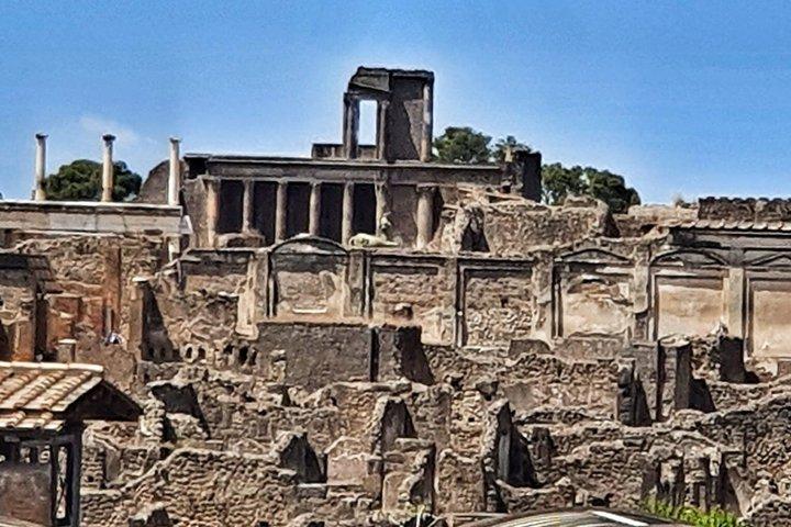 Herculaneum Experience Day Trip med let frokost fra Sorrento