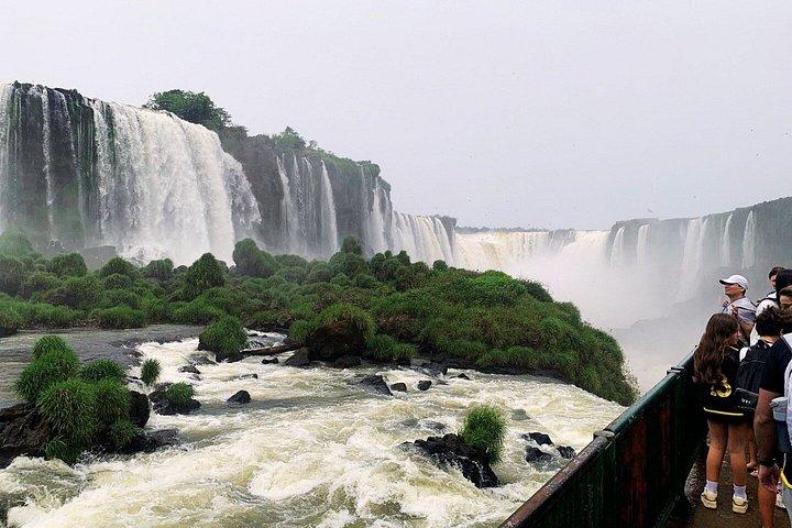 ブラジルの滝ツアーとバードパーク（送迎付き）