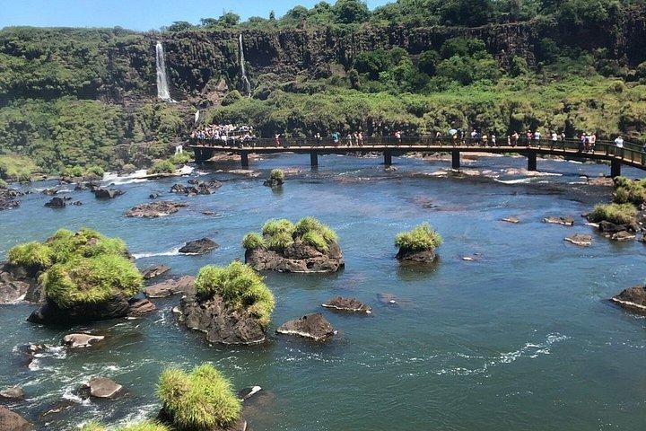 ブラジルの滝ツアーとバードパーク（送迎付き）
