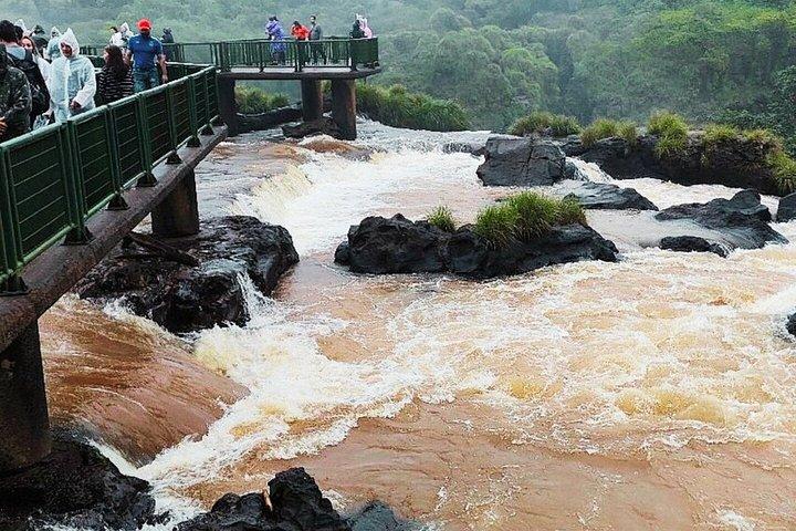 ブラジルの滝ツアーとバードパーク（送迎付き）