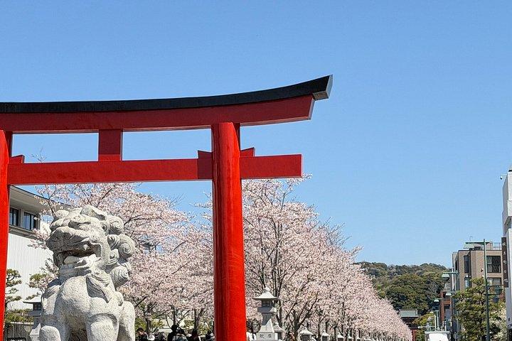 Kamakura Private Tour: Den store Buddha og Samurai historie