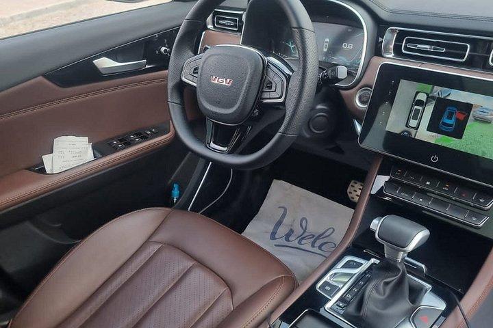 カイロとギザ空港またはホテルVIPでのプライベート送迎
