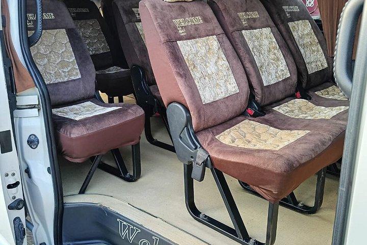 カイロとギザ空港またはホテルVIPでのプライベート送迎