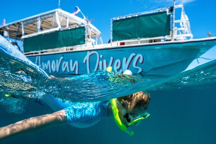 Key Largo Snorkeling Trip to the Florida Reef (Tour de barco)