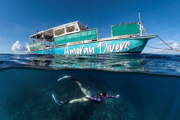 Key Largo Snorkeling Trip to the Florida Reef (Tour de barco)
