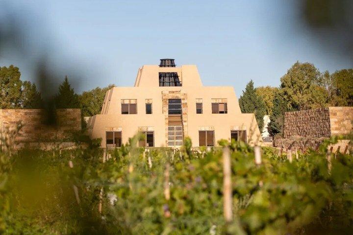 Catena Zapata Full Experience: Winery Tour, Tasting & Top Lunch