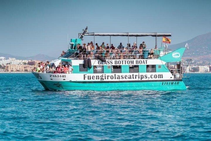 Delfinsafari på en katamaran i Fuengirola