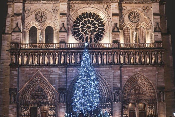 Paris Notre-Dame Kathedrale Führung - Early Access