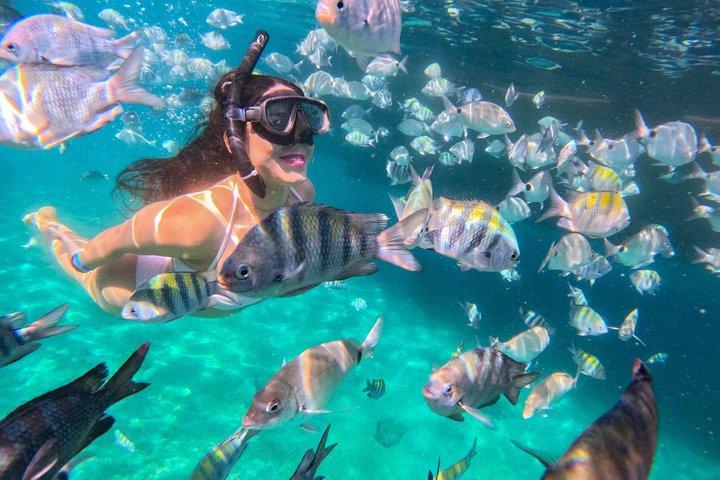 Angra dos Reis : Una experiencia única en el paraíso