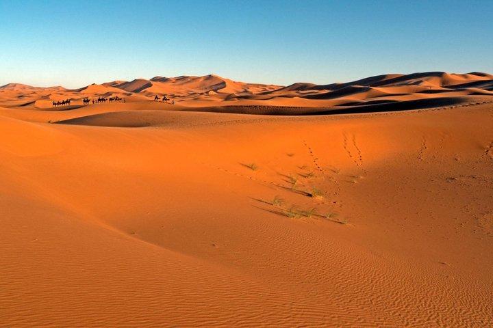 Merzouga 4x4 Jeep Desert Experience