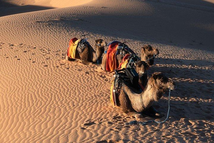 3 Days Desert Tour from Fes to Marrakech via Merzouga