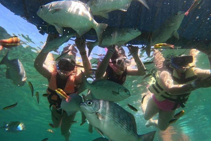 Excursão de meio dia para mergulho com snorkel em Ixtapa Zihuatanejo com almoço