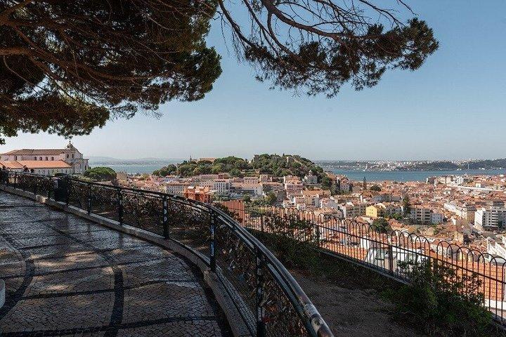 Lisbon Clicks and Flavours Food Tourとプロの写真