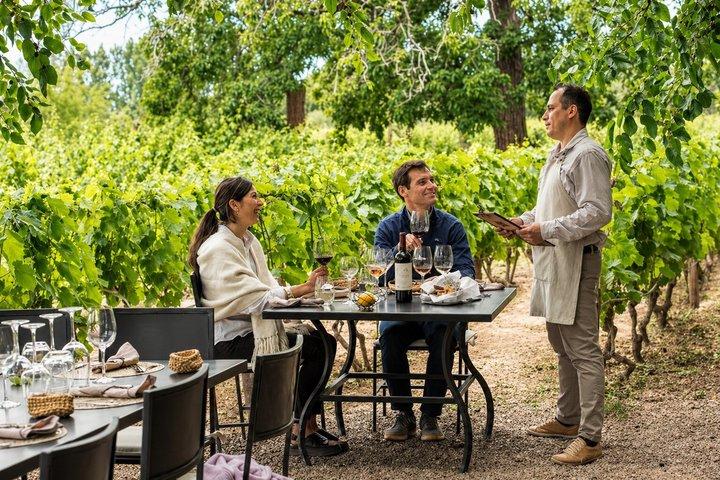 Private Mendoza WineTour : 3 Bodegas Premium Almuerzo Guía Michelin