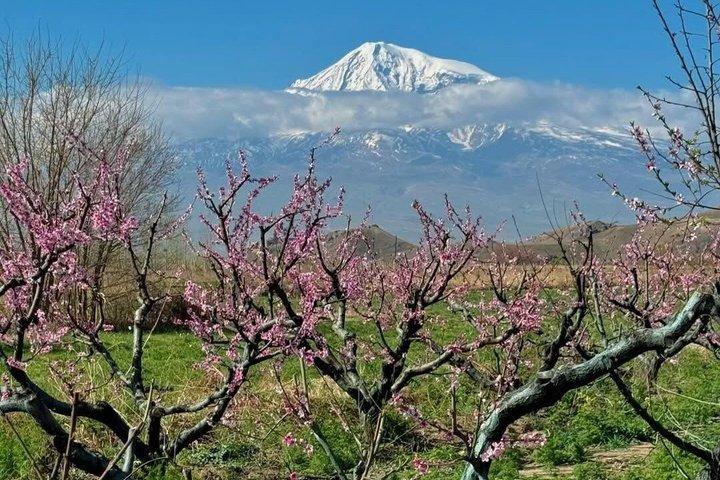 Tour privato della cantina Khor Virap Noravank Areni