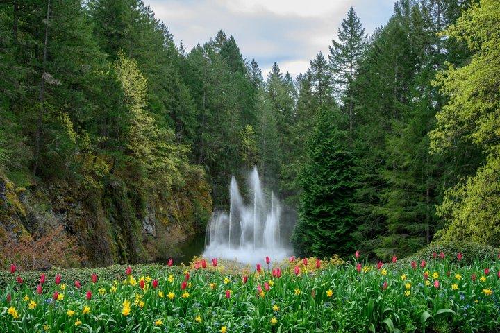 Billeder af Victoria and Butchart Gardens