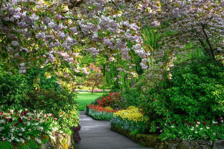 Billeder af Victoria and Butchart Gardens