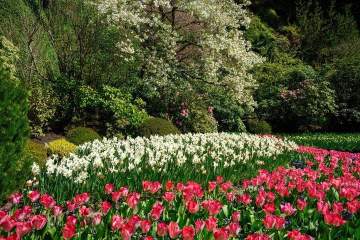 Billeder af Victoria and Butchart Gardens