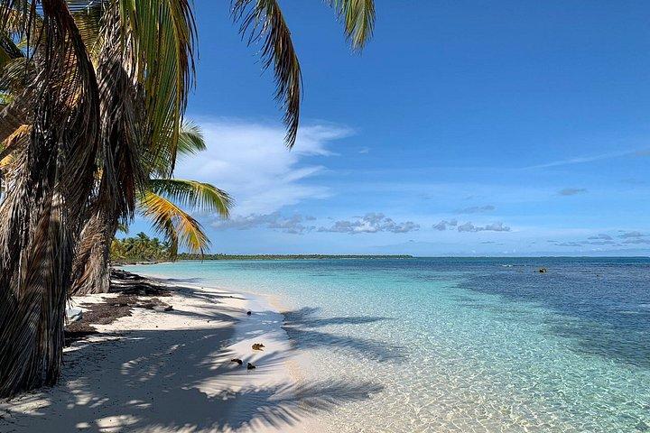 サオナ島カタマランでのランチとプンタカナからの送迎