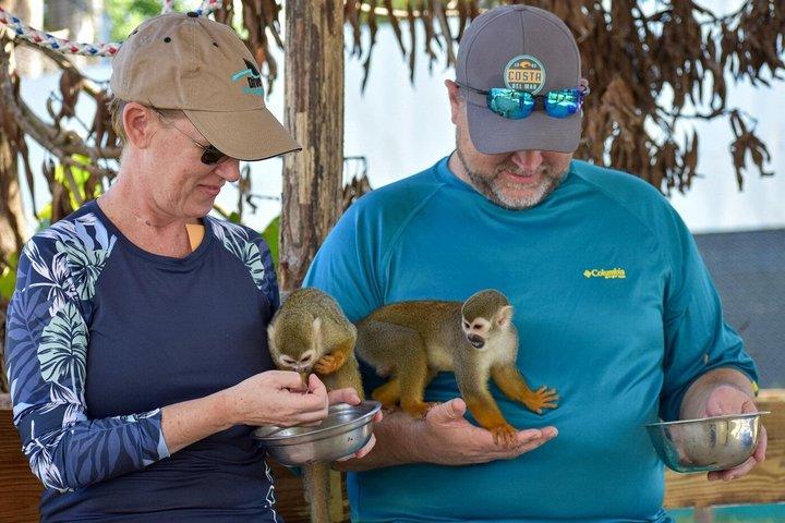 琥珀の入り江とタイノ湾からのサルのふれあいショアエクスカーション
