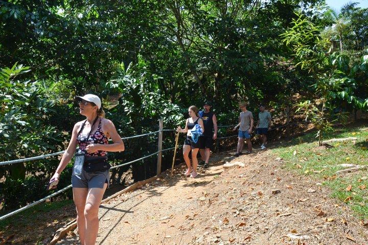 Nauyaca Waterfall Adventure - Excursion d'une journée tout compris