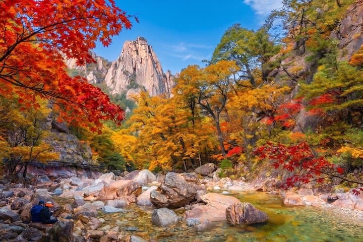 Mt. Seorak+Nami Island+Garden of Morning Calm Day Trip from Seoul
