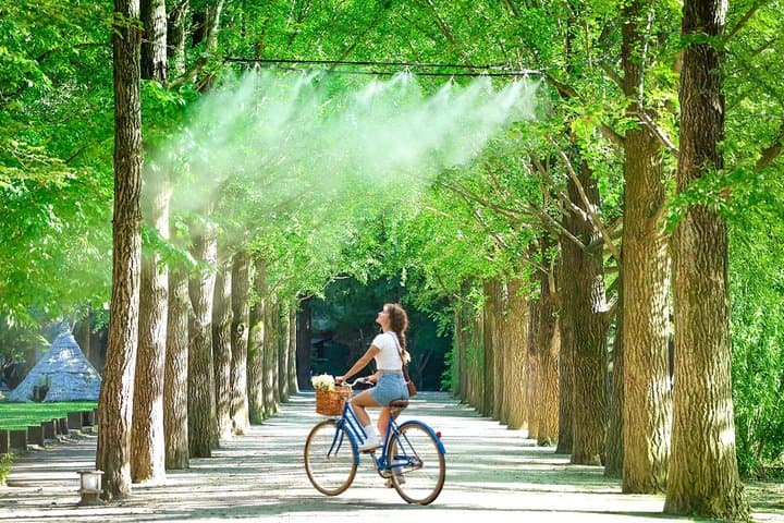 Nami island and Hanbok Wearing and Waterfall from Seoul