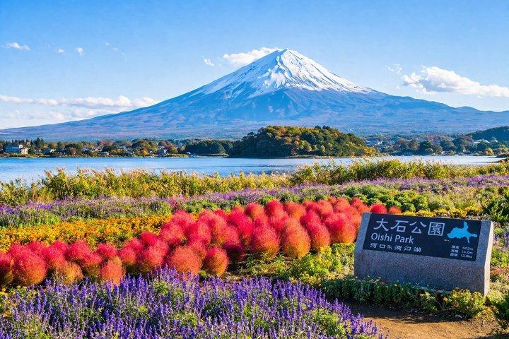 相撲ライブ体験で東京から富士山観光ツアー