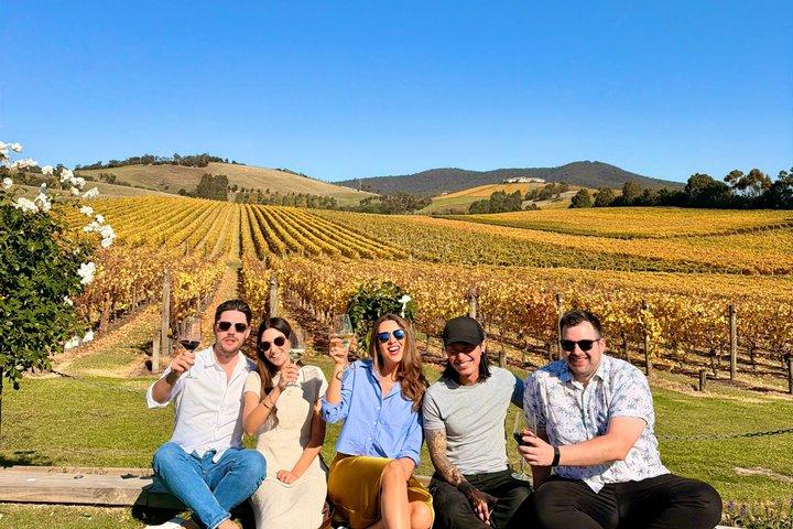 Yarra Valley Wine Tour de Melbourne - Choc, Gin e bons tempos