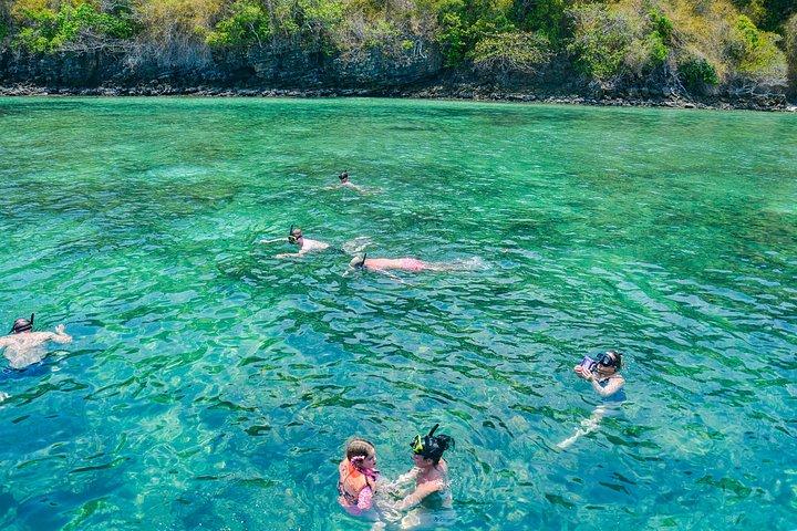 クラビ4諸島へのロングテールボートプライベートチャーターツアー