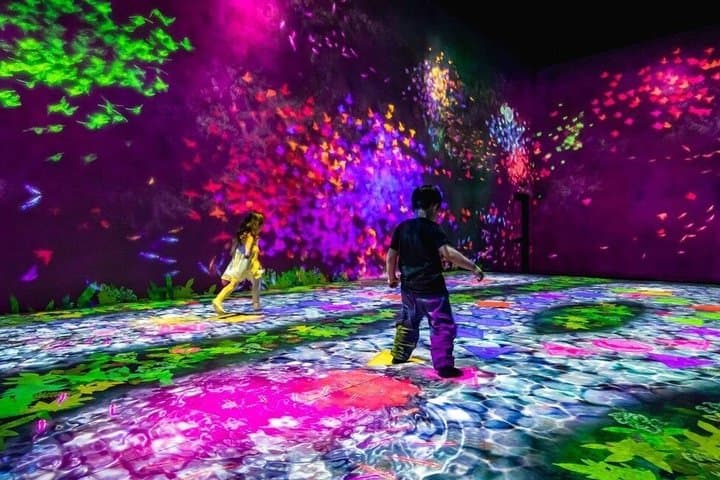 Tokyo TeamLab Borderless Admission and Subway Pass