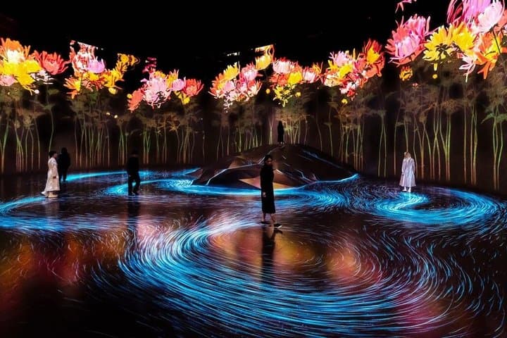 Tokyo TeamLab Borderless Admission and Subway Pass