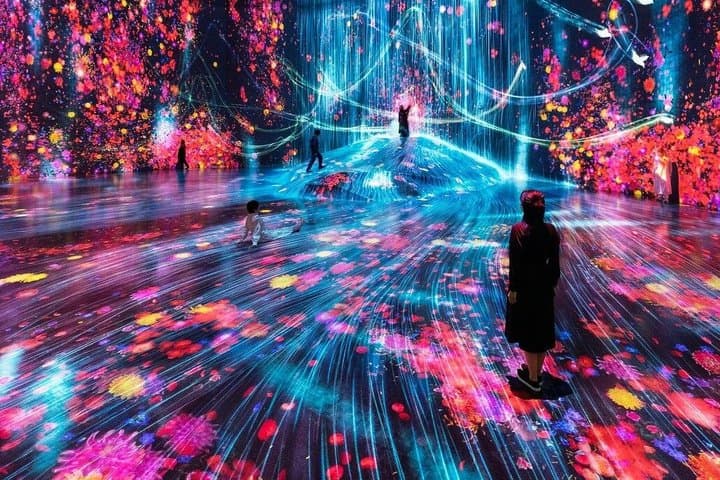 Tokyo TeamLab Borderless Admission and Subway Pass