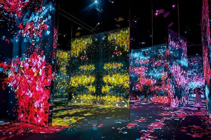 Tokyo TeamLab Entrada sem Fronteiras