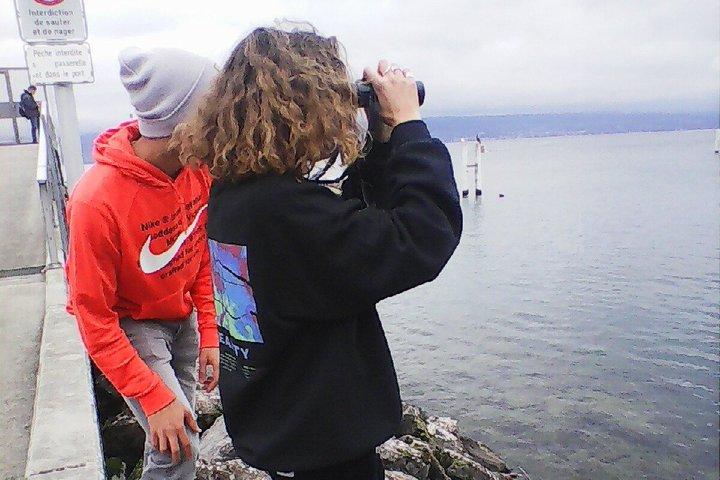 Discovering the birds of Lake Geneva