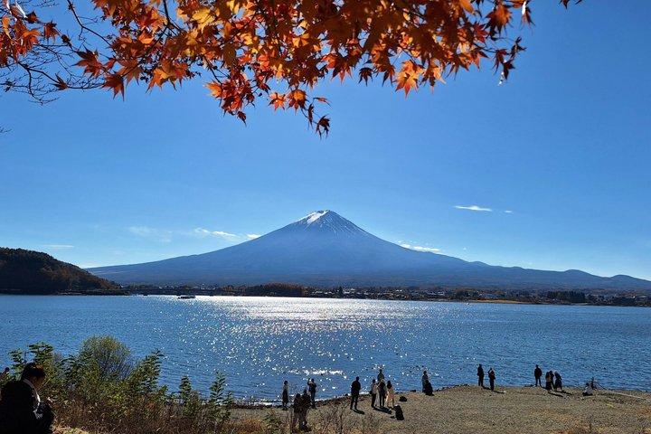 Privat tur til Fuji-bjerget, Big Buddha og Ashi-søen