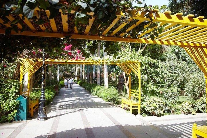 フェルッカによる植物園&エレファンティンアイランド