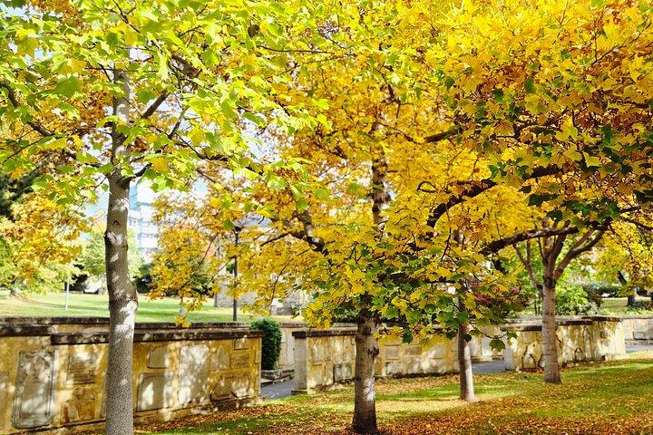 Salamanca Walk - History Tour