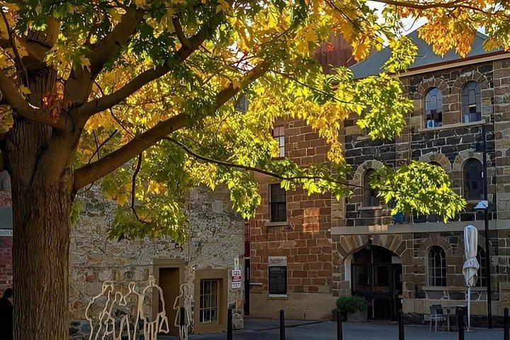 Salamanca Walk - History Tour