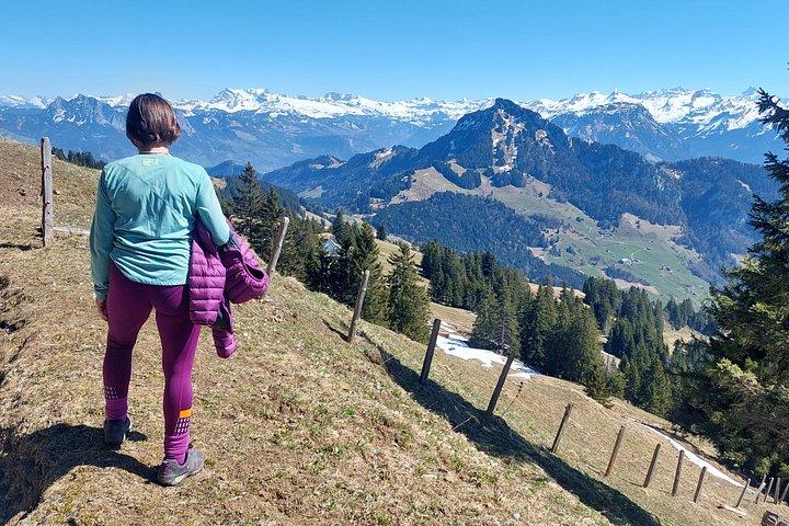 Mount Rigi Panorama Walk with BBQ Lunch and Private Guide