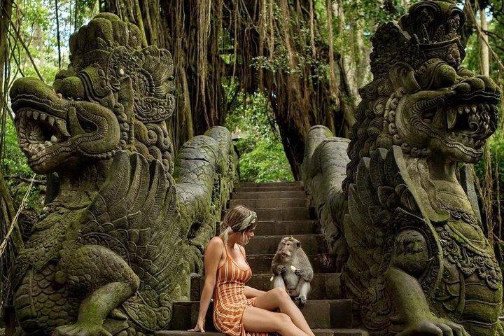 Ubud Monkey Forest, Reisterrasse, Wassertempel, Wasserfall und Schaukel