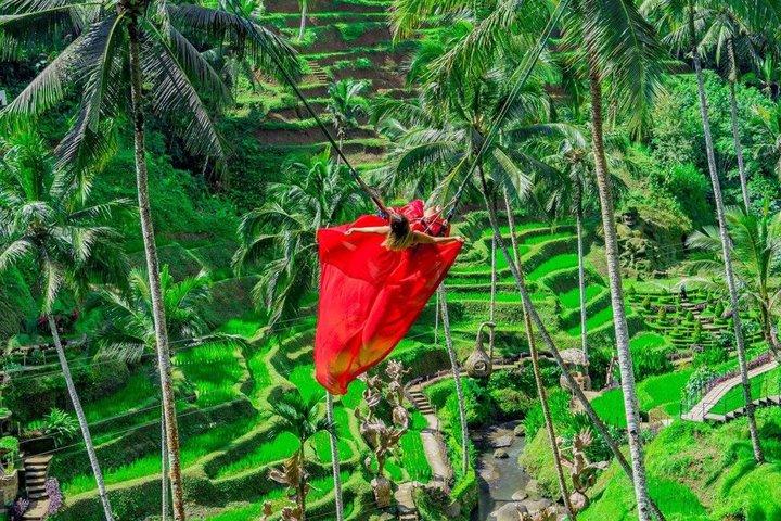 Ubud Monkey Forest, Reisterrasse, Wassertempel, Wasserfall und Schaukel