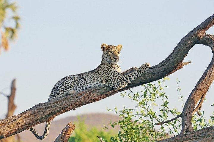 2 Day Must Amboseli Road Package