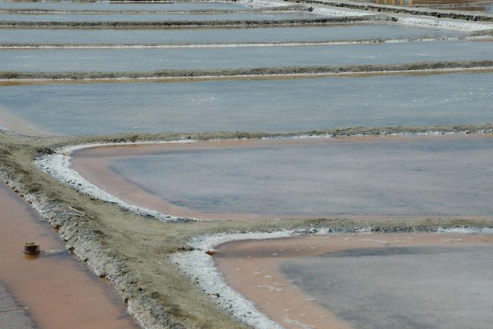 Explore as Cervia Salt Pans a pé ou de bicicleta
