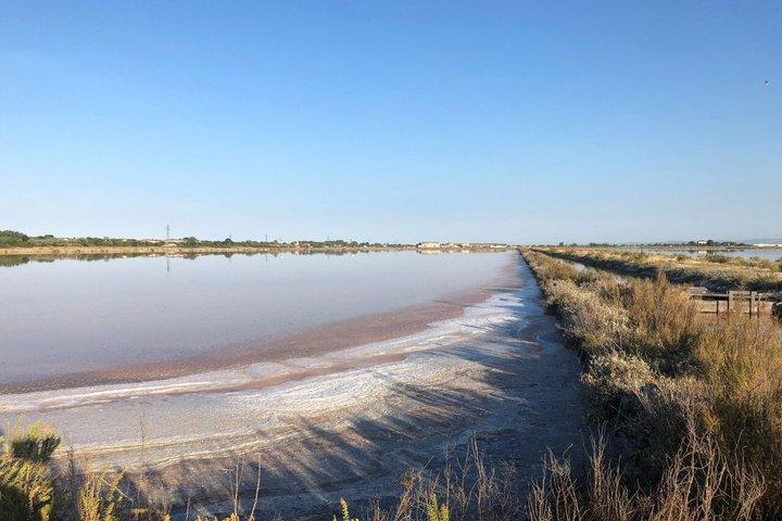 Explore as Cervia Salt Pans a pé ou de bicicleta