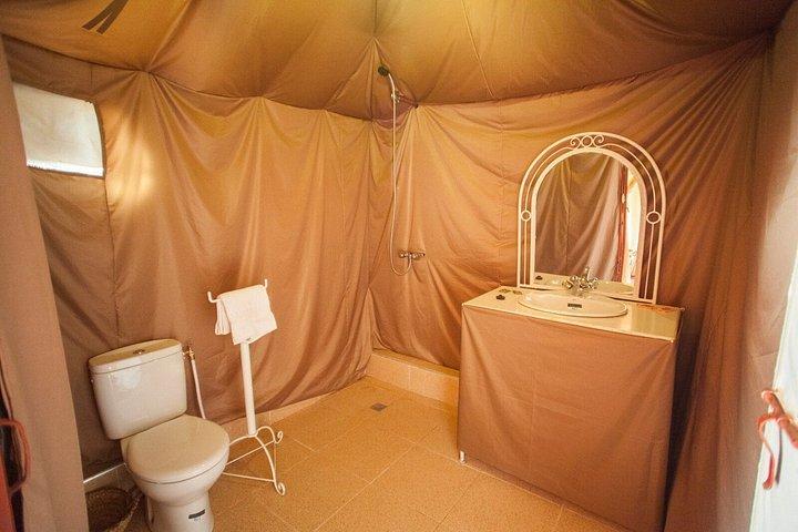 マラケシュから：ザゴラ2 ラクダと砂漠の日帰りサファリ、そしてキャンプ