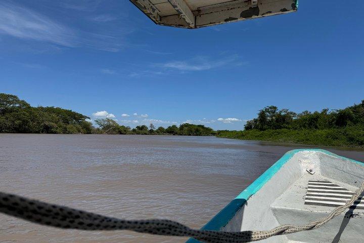 Tour de observación de aves por el Parque Nacional Palo Verde